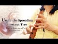 Under the Spreading Chestnut Tree / Native American Flute