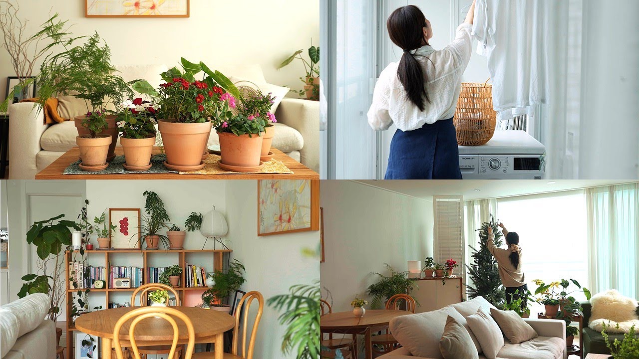 Год заботы о моем доме в течение всех четырех времен года 🌿