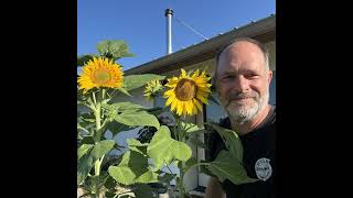 Making and evaluating biologically active compost with Jason Gearheart of Integrated Elements Com...