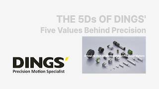 The 5Ds of DINGS' | Five Values Behind Precision