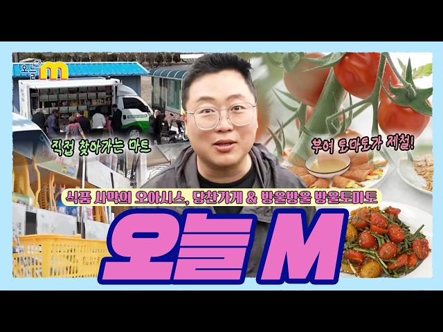 식품 사막의 오아시스, 당찬가게 & 방울방울 방울토마토 / 오늘M / 2026년 04월 15일