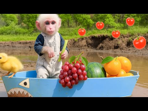 Smart Monkey Obi Use His ‘Superpower’ to Take Ducklings on a Fruit Quest