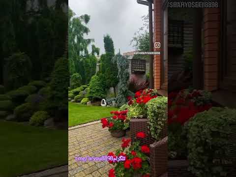 ترانه زیبای پیرهن ابرارو پاره کردی بانو هایده