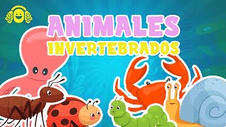 ANIMALES INVERTEBRADOS para niños. Vídeo educativo para niños.