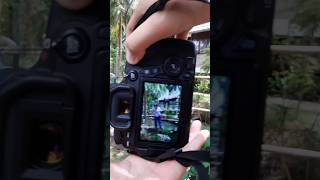 Nhật Ký Đi Phượt #canoneos70d