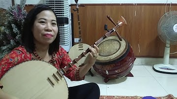 Quảng Bình quê ta ơi, đàn nguyệt - nghệ sĩ Tuyết Tuyết