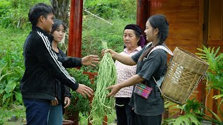 Harvesting the first bean crop in the garden: Picking and giving to Pao as a deep gratitude