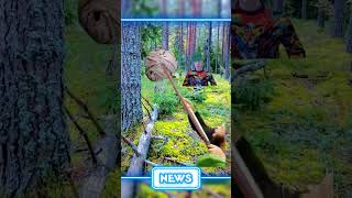 Атака пчёл | меллстрой | новости