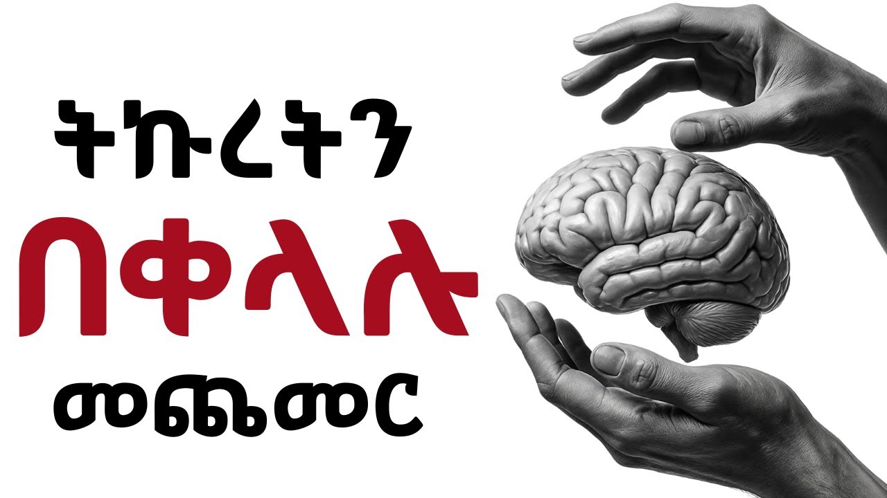 በእነዚህ ልማዶች ትኩረታችሁን በፍጥነት አስተካክሉ!!!  Shanta | Tibebsilas | Semuni
