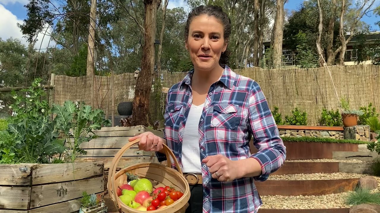 Backyard Farmer - How to use crop protection netting