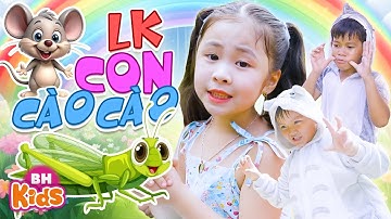 Con Cào Cào Có Cái Cánh Xanh Xanh - 15 Bài Hát Nhạc Thiếu Nhi Con Vật Vui Nhộn Nhất Bé Xem Cả Ngày