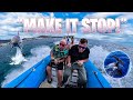 Dad vs Tenerife’s FASTEST Speed Boat 😬🐬