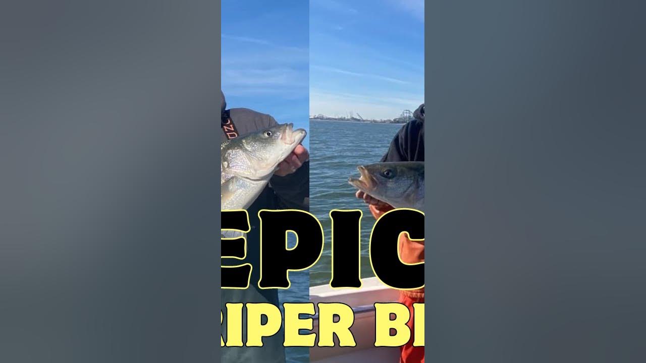 Striper Fishing off of Wildwood, NJ December 2023 YouTube
