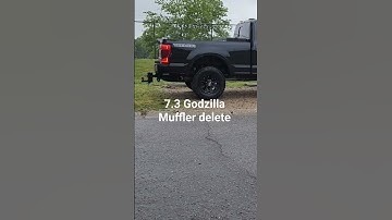7.3 Godzilla Muffler delete