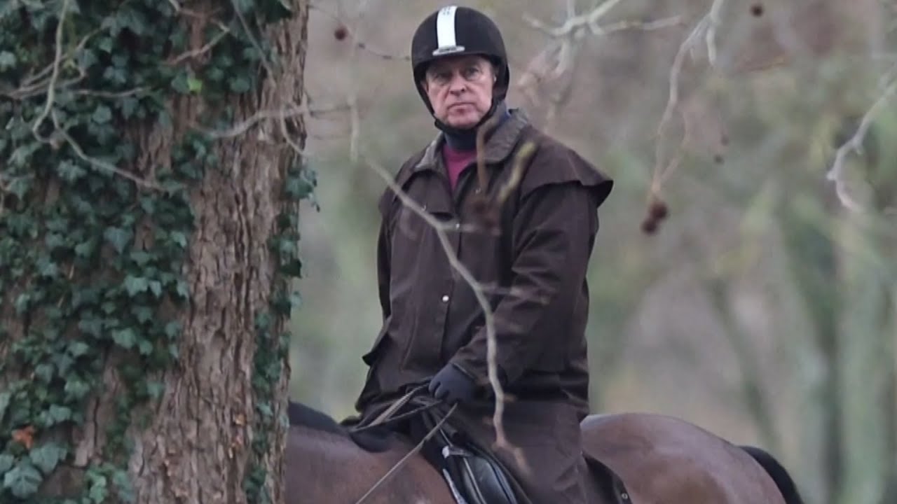 ‘He’s in royal prision’: Former prince Andrew now banned from horseback riding