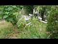 Momm!!20160715(20160627) 貴水博之 キスマイ 画像