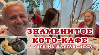 : :    ,  . Cat Cafe Riga:  .
