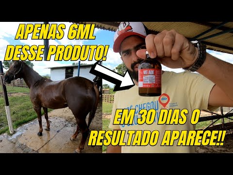 COMO ADMINISTRAR VIT ADE EM SEU ANIMAL! VITAMINA TOP PARA O SEU CAVALO!