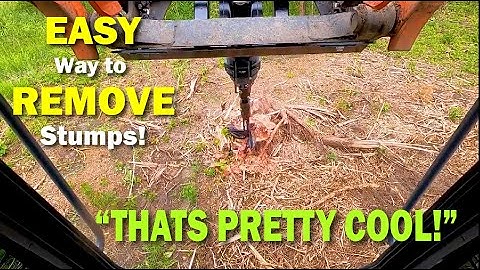 Easy Way to Remove Tree Stumps - Ft. Skid-Co #shorts