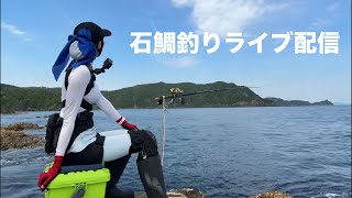 久しぶり😆✨磯からの石鯛釣りライブ配信‼️