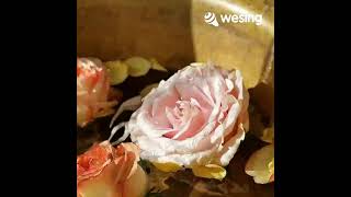 Eunice and Boll-im Always Dreaming Of You 