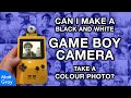 This Guy Shot Color Photos with His Game Boy Camera