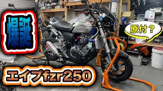 魔改造】 エンジンスワップ エイプfzr250 #エンジンスワップ #エイプ