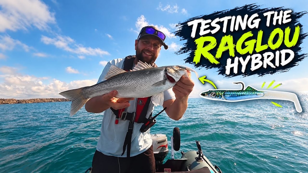 Epic Bass Fishing Cornwall