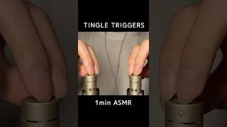 1 Minute of Satisfying Tingly ASMR #asmr #asmrtingles #shorts