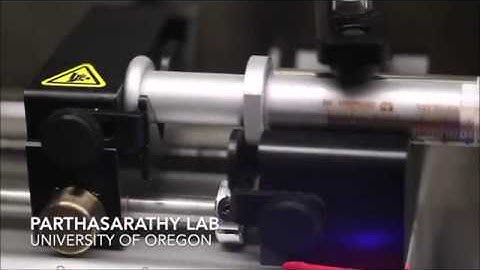 Automated high-throughput light-sheet fluorescence microscopy of larval zebrafish