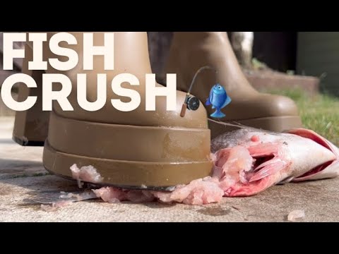 Watch me destroy (#crush ) this 🐟 😈