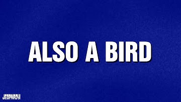 Also a Bird | Category | JEOPARDY!