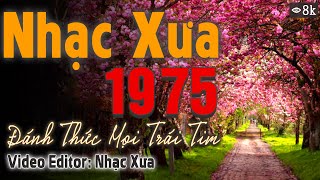 Nhạc Xưa Bất Hủ 1975 Hiếm Có Vô Cùng, Đánh Thức Mọi Trái Tim| Dòng Nhạc Tình Ca Hải Ngoại Sang Trọng