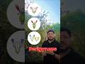 Ovary Types in Flower | Hypogynous, Perigynous & Epigynous in 1 Min | NEET Biology #neetnexttopper