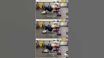 Ultimate Hip Thrust Tutorial: 1 Exercise 3 Muscle Groups