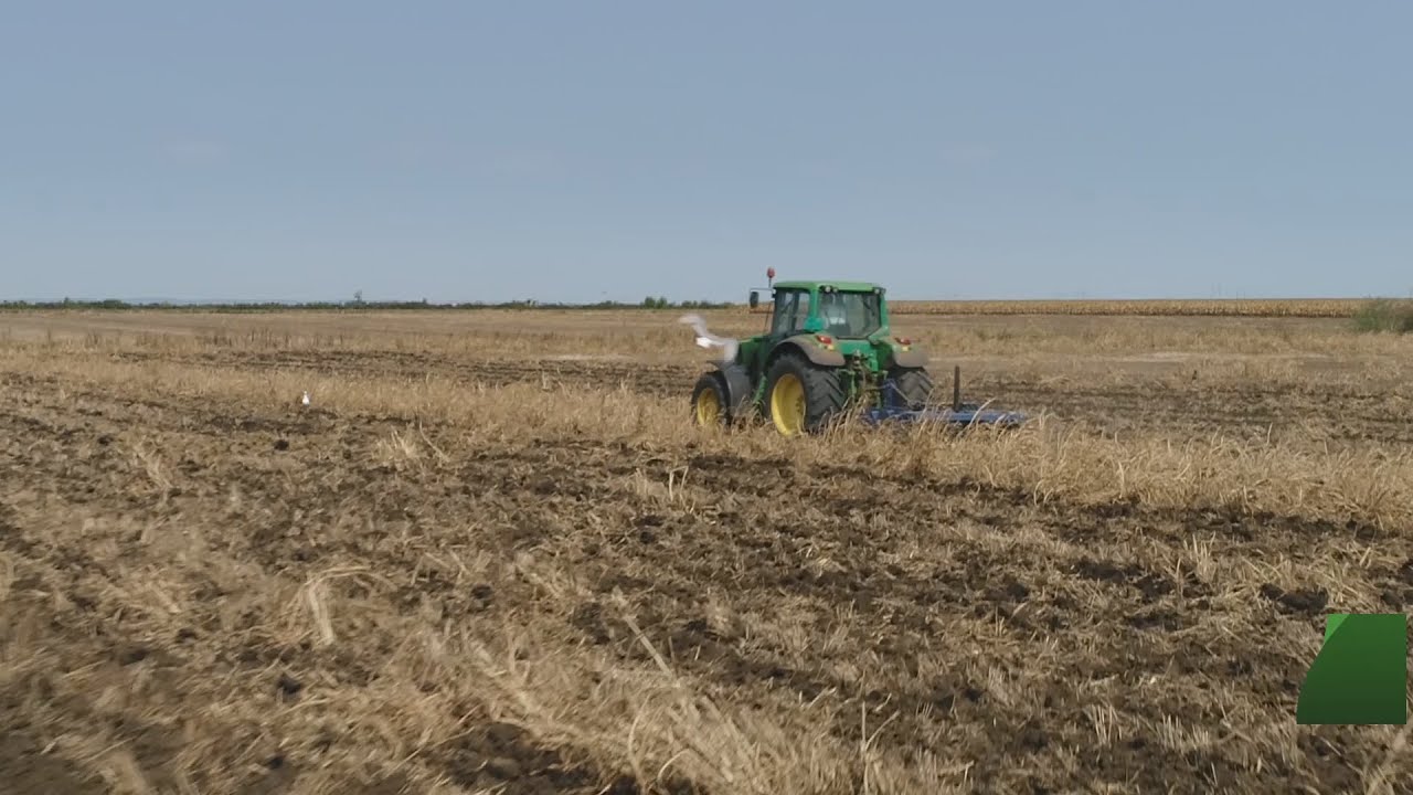 ZETVA SOJE I PODRIVANJE - SNIMCI IZ VAZDUHA - zašto je podrivanje zanimljivo ?