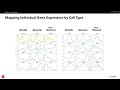 Vizgens merfish mouse brain receptor map mapping gene expression by cell type