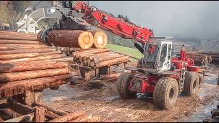 How American Lumber Mills use Quad Band Saw System for Perfect Boards - Heavy Duty Sawmill Machinery