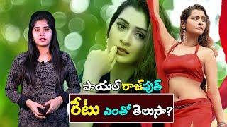 Payal Rajput Remuneration For One Day Rdx Love Movie Rajput Top Telugu Media
