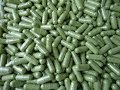 Moringa beneficios y propiedades - arbol de la vida y sus virtudes - la moringa milagrosa