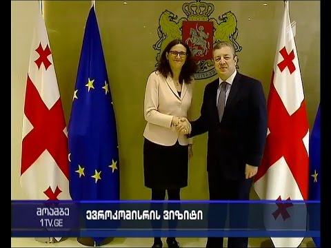 სესილია მალმსტრომი ვაჭრობის საკითხების განსახილველად გიორგი კვირიკაშვილსა და მინისტრებს შეხვდა