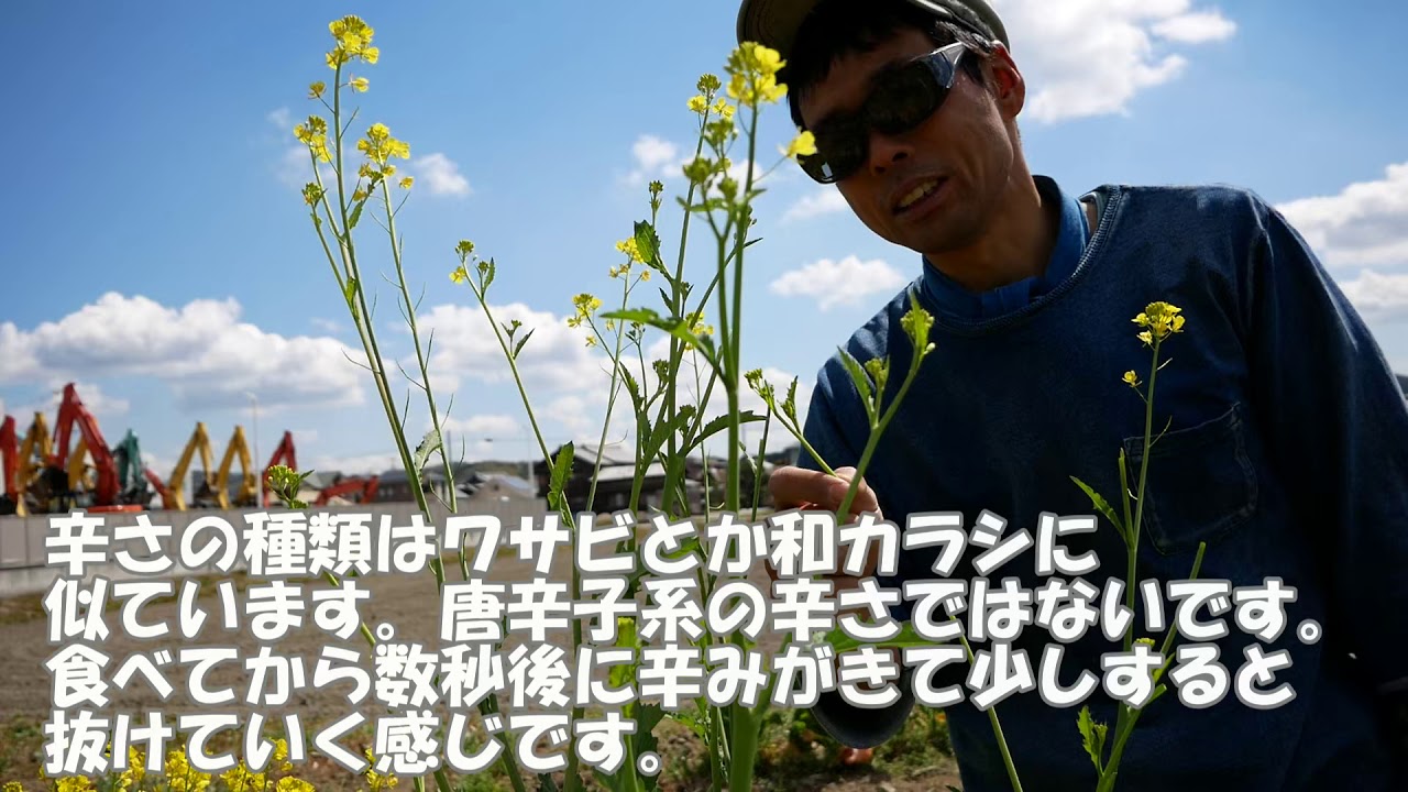 Agricultural Record] Changing the width of ridges and plowing the
