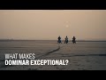 Bajaj Dominar | Touring Content | What makes Dominar exceptional