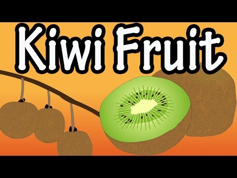 Health Benefits of Kiwi Fruit? What Is Kiwi Fruit? Nutrition Of Kiwi