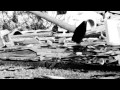 MLAT - APSOLUTNI