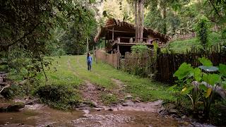 Threes Houses in the Woods: Pang Tad Village | Travel Journal Vibes [Reed Pitman - Home]