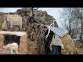 Heavy Rain in the Zagros Mountains of Iran 🌧️😱 | Efforts of Cave-Dwelling Nomads to Stay Alive 🔥