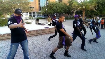 SLB Summer 2k13 Yardshow