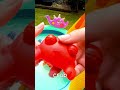 Toy Sea Animals on Waterslide | Kids Learn: Spider Crab Whale Shark Lobster Horseshoe Crab