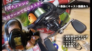 「Roxani BF8をカスタム」専用ツールで娘にカスタムさせてみたの巻